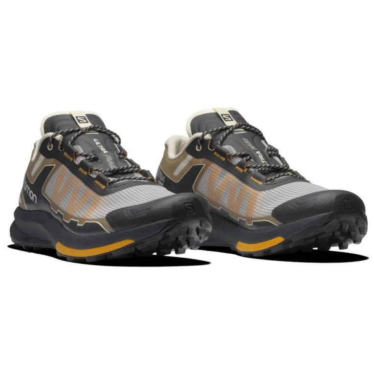 Black / Grey / Brown Salomon Ultra Raid Men's Sneakers | IE EJ9502